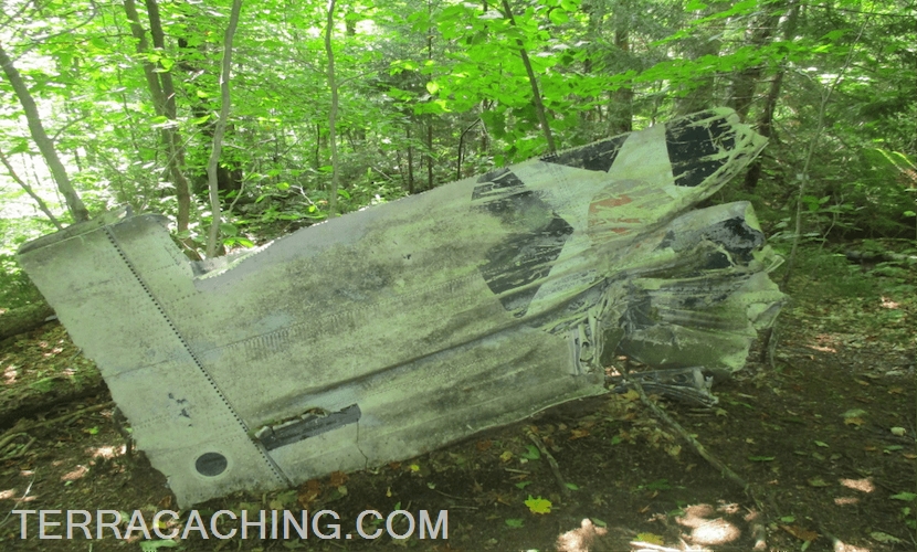 Airplane tail wreckage in forest