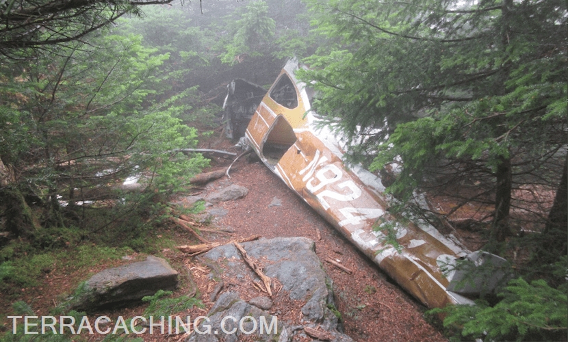 Airplane wreckage in green foggy forest