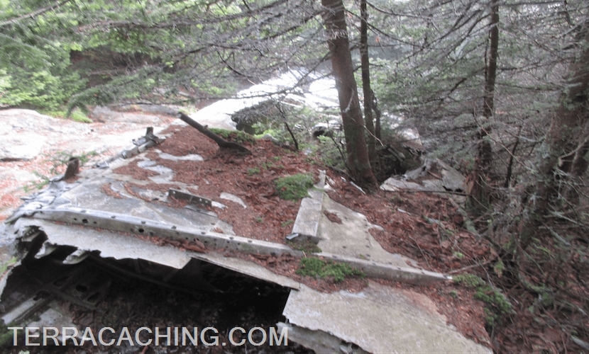 Airplane wing wreckage in forest