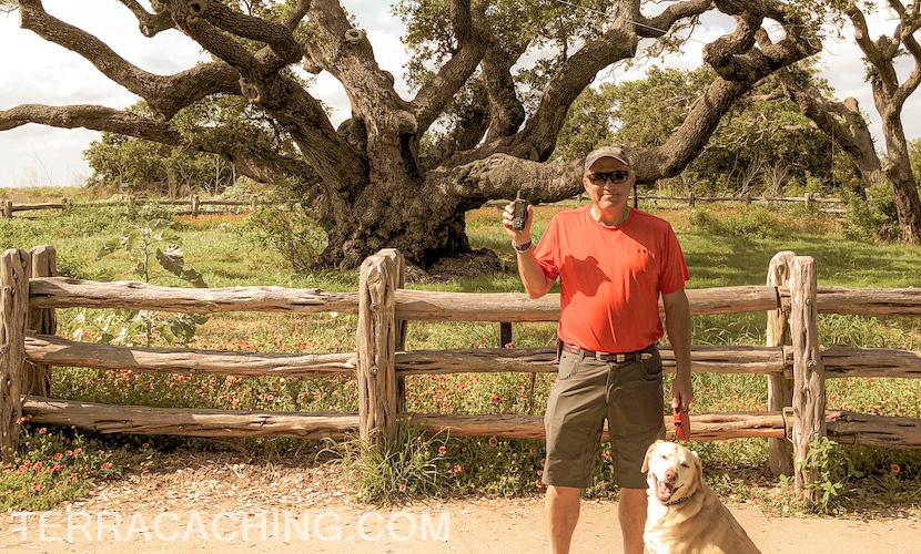 man with dog in front tree